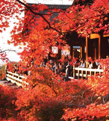 TST tourist - Autumn 2018