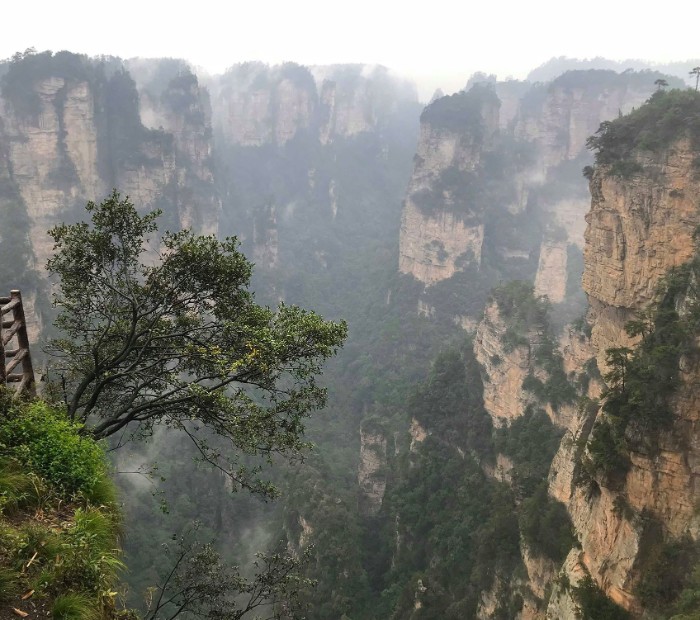 Lung linh đêm Phượng Hoàng Cổ trấn, cầu treo Trương Gia Giới