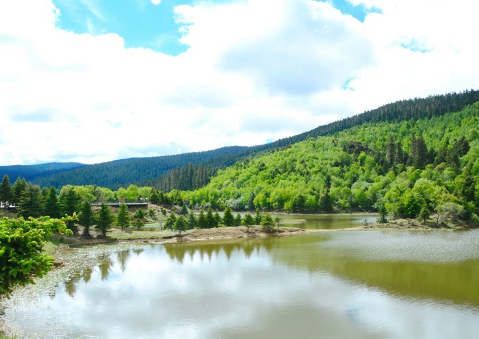 CÔNG VIÊN XANH POTATSO - PHỔ ĐẠT THỐ