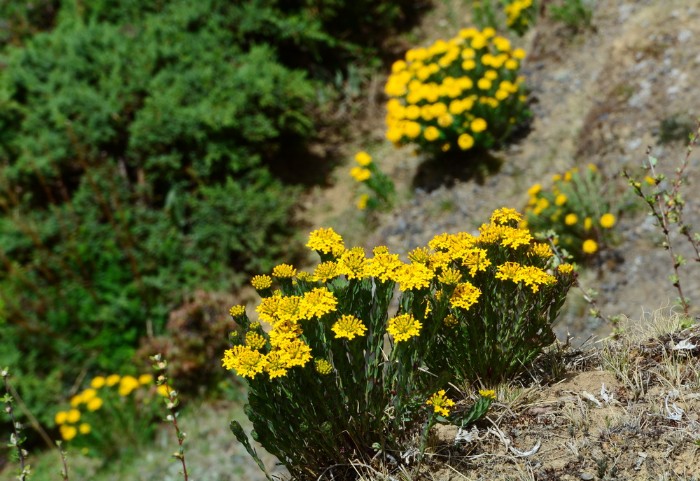 CÔNG VIÊN XANH POTATSO - PHỔ ĐẠT THỐ