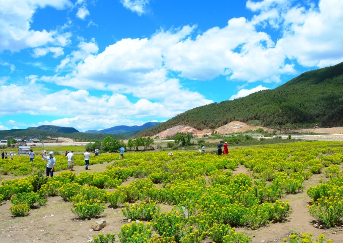 CÔNG VIÊN XANH POTATSO - PHỔ ĐẠT THỐ