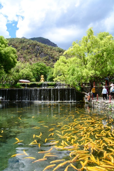 NGỌC THỦY TRẠI VÀ NỮ THẦN THIÊN NHIÊN