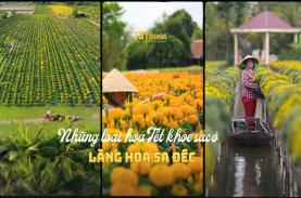 Những loài hoa Tết khoe sắc ở Sa Đéc