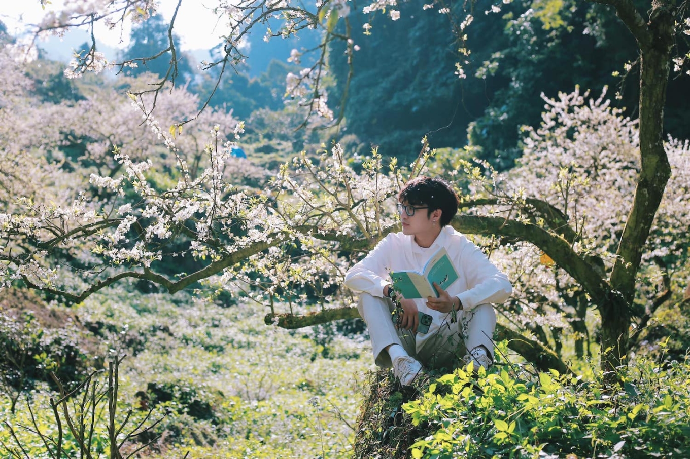 TSTtourist-3-luu-y-di-chuyen-va-luu-tru-voi-du-khach-dip-tet-2