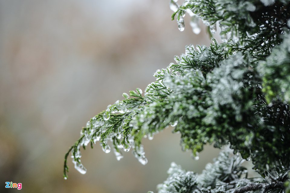 TSTtourist-du-khach-thich-thu-voi-bang-gia-o-cong-troi-tren-deo-o-quy-ho-3