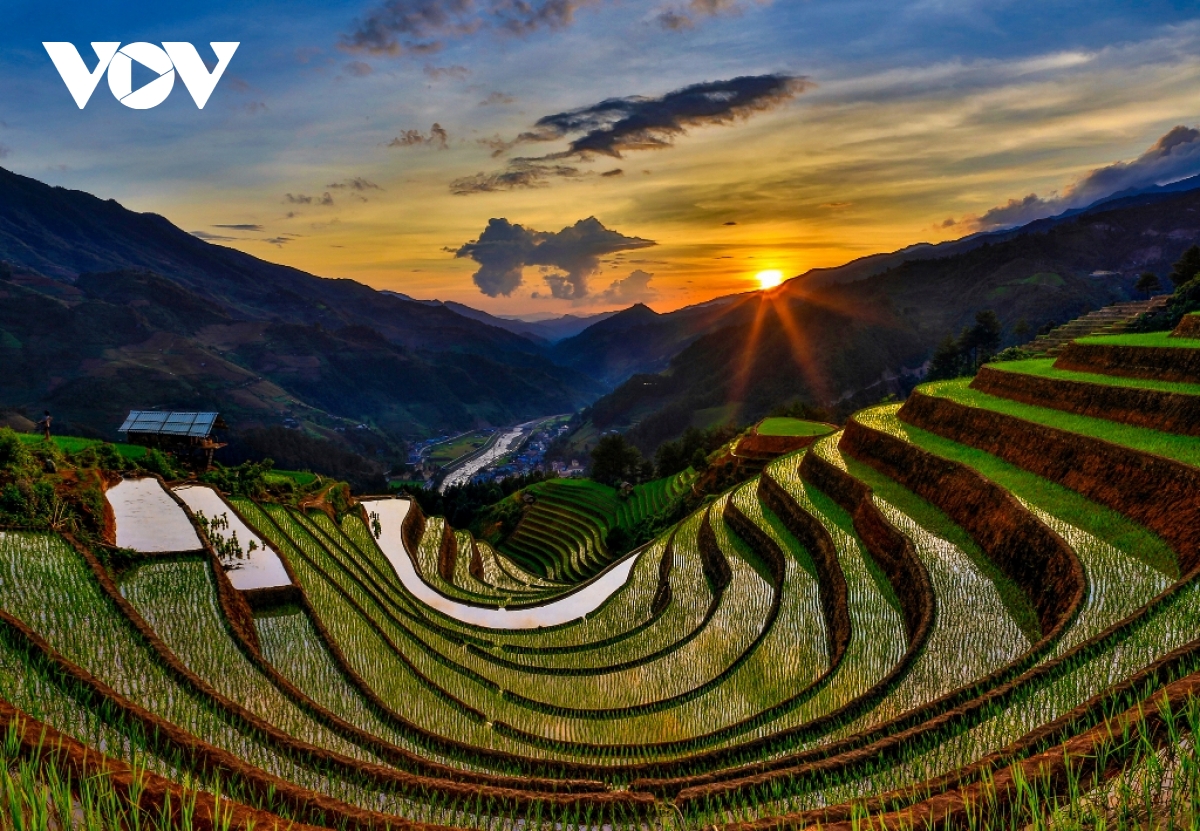 TSTtourist-giai-ma-bi-an-ve-ruong-bac-thang-tren-da-o-yen-bai-16