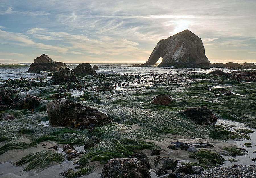 TSTtourist-sung-sot-voi-tang-da-khong-lo-hinh-con-voi-giua-bien-khoi-1