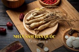 Nhân sâm Hàn Quốc có tác dụng gì?