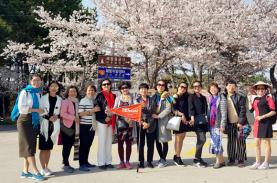 Rực rỡ những con đường hoa xuân Seoul