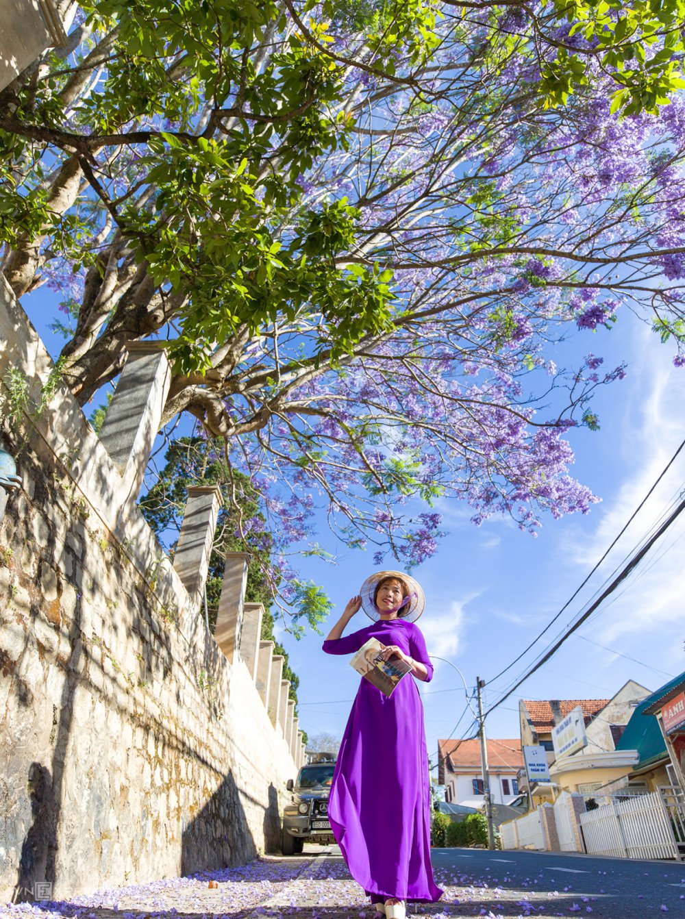 TSTtourist-cac-diem-ngam-phuong-tim-o-da-lat-6