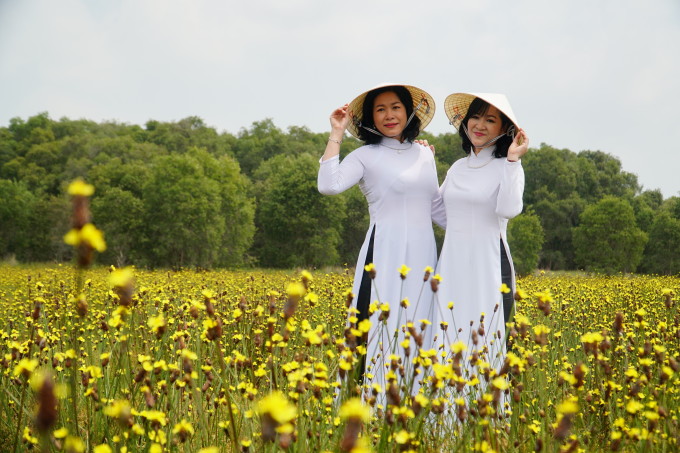 TSTtourist-canh-dong-hoa-hoang-dau-an-no-ro-o-tram-chim-1