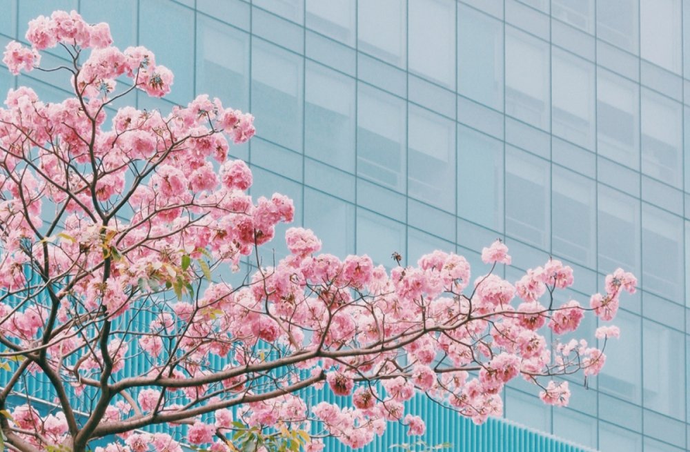 TSTtourist-ken-hong-ruc-ro-tren-pho-sai-gon-5