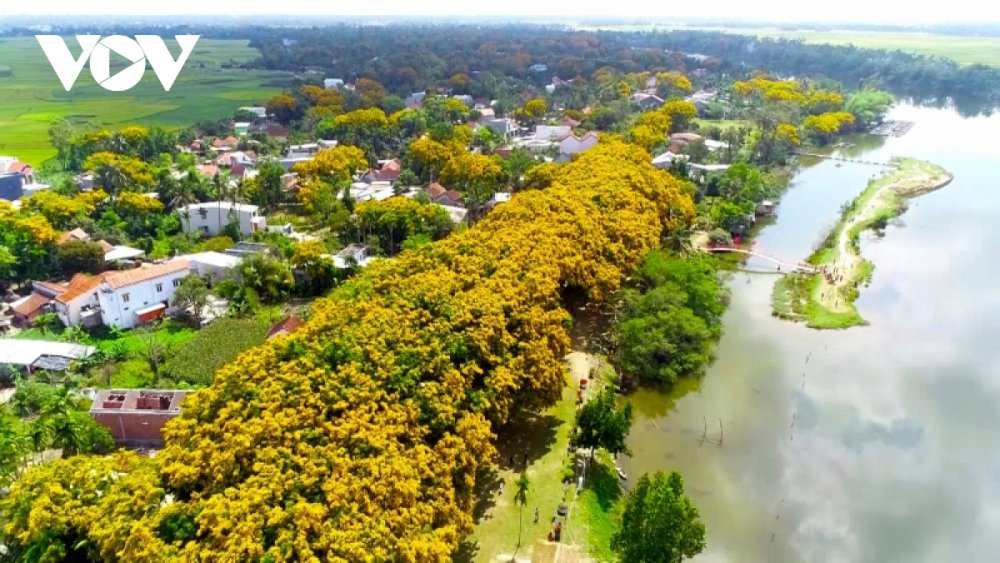 TSTtourist-du-lich-quang-nam-sau-dai-dich-co-gi-hap-dan-3