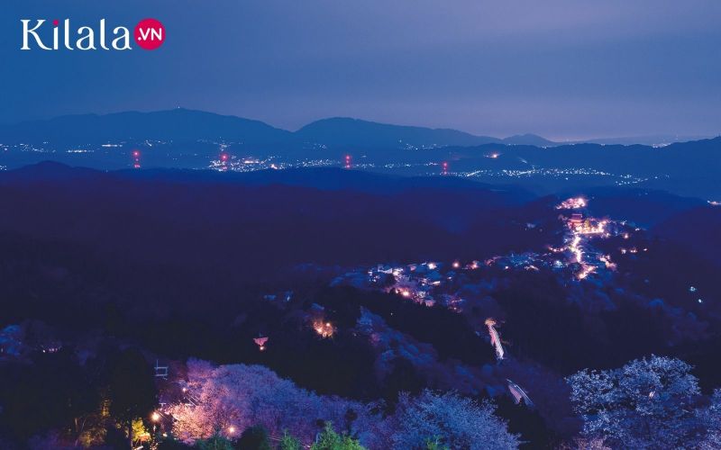 TSTtourist-hoa-anh-dao-nui-yoshino-ve-dep-cua-mua-xuan-nuoc-nhat-6