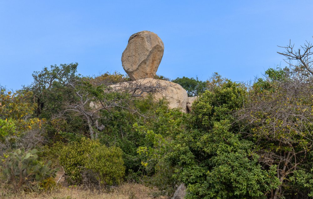 TSTtourist-nui-chua-khu-du-tru-sinh-quyen-moi-cua-the-gioi-3