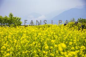 5 trải nghiệm mới ở Fansipan bạn sẽ thích mê