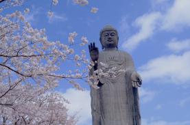 Khám phá bên trong tượng Phật lớn nhất thế giới ở Nhật Bản