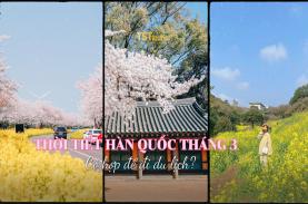 Thời tiết Hàn Quốc tháng 3 có phù hợp đi du lịch?