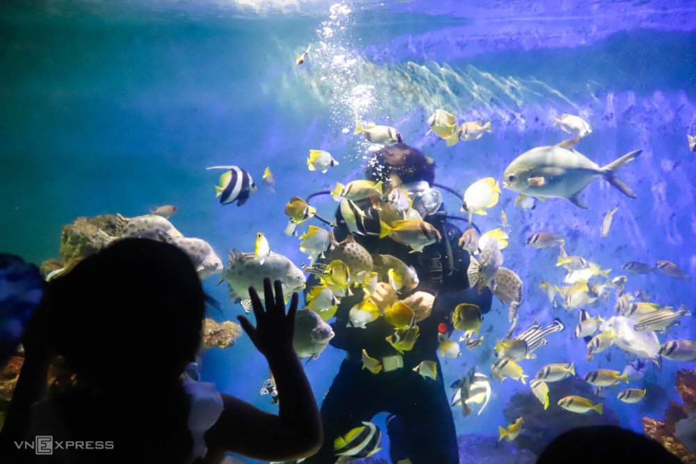 TSTtourist-be-nuoi-ca-trong-duong-ham-xuyen-nui-6