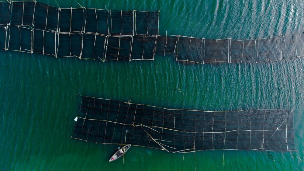 tsttourist-canh-sac-mien-que-binh-dinh-7