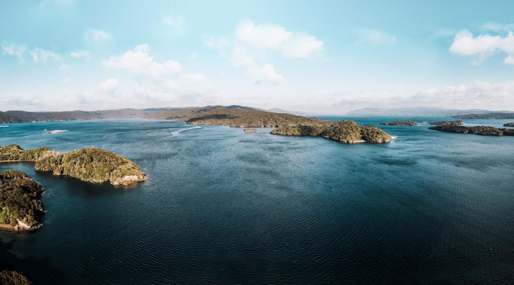 TSTtourist-mon-ngon-tu-ca-hoi-new-zealand-3