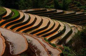 Bức tranh huyền ảo trên những thửa ruộng bậc thang Mù Cang Chải mùa đổ nước