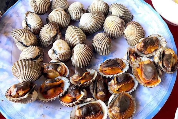 Nơi có sò huyết ngon nhất Việt Nam