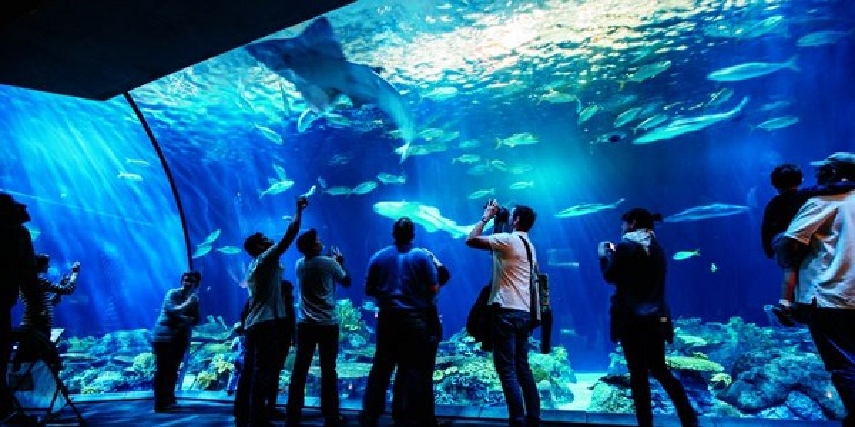 TSTtourist-kham-pha-10-thuy-cung-lon-nhat-the-gioi-7