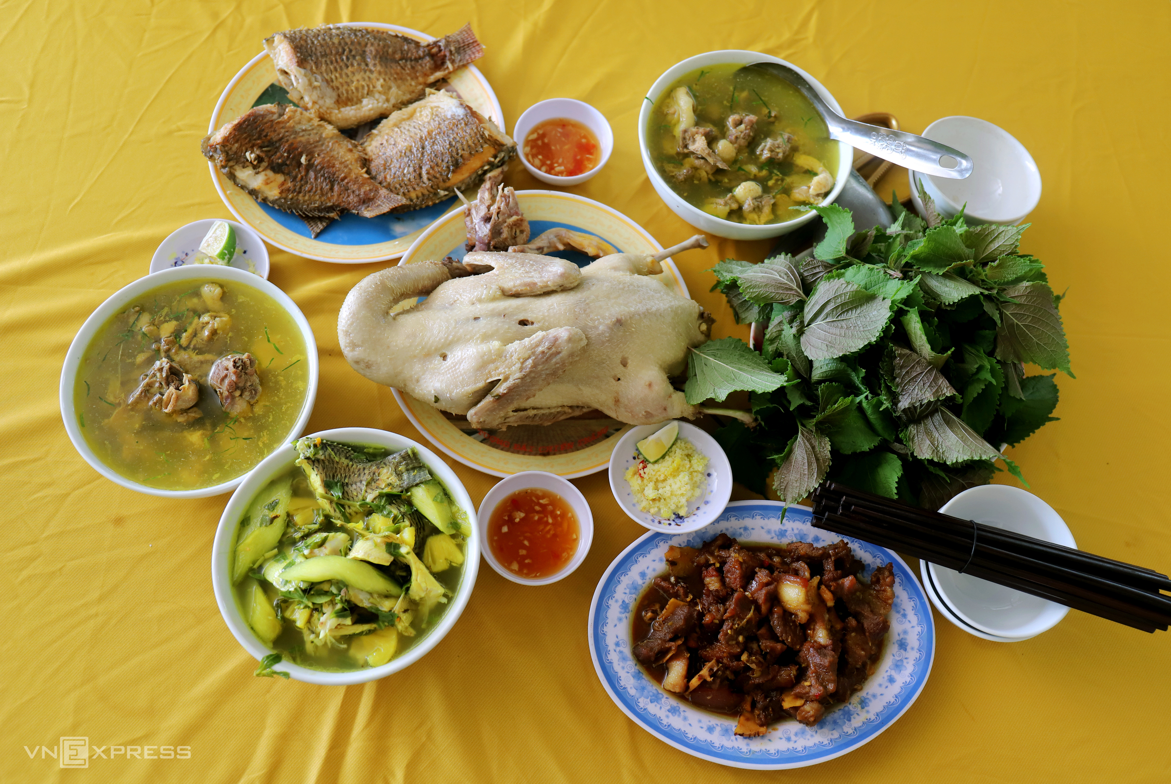 TSTtourist-noi-du-khach-bo-pho-len-rung-o-ha-tinh-11