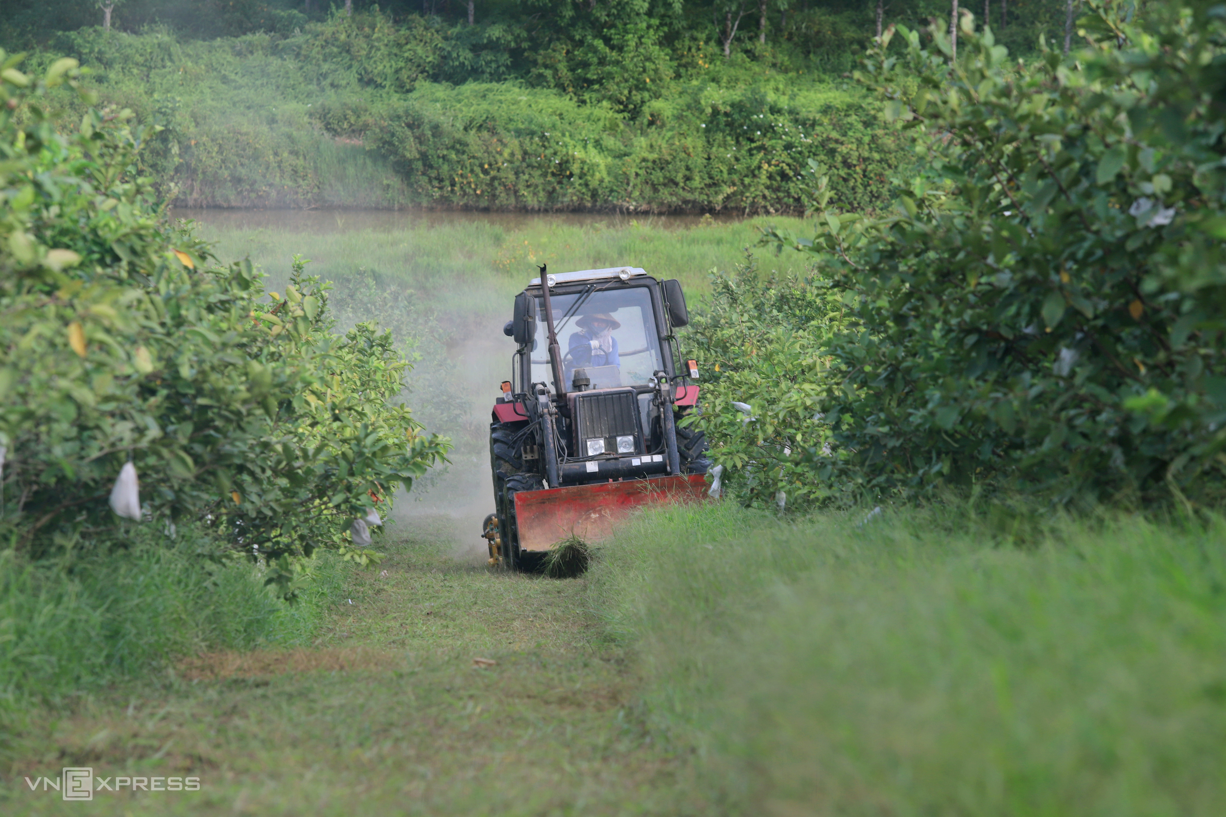 TSTtourist-noi-du-khach-bo-pho-len-rung-o-ha-tinh-12