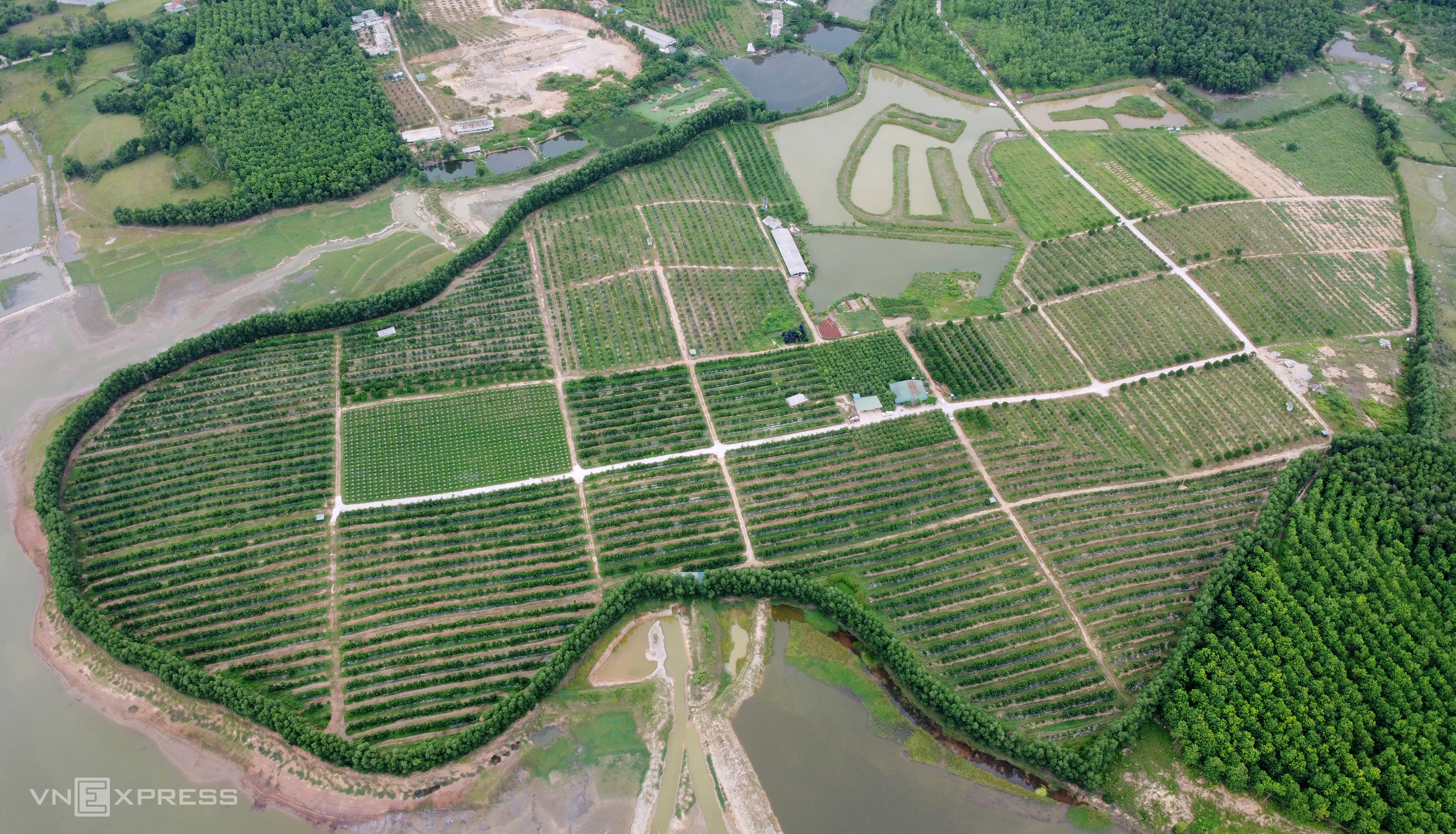 TSTtourist-noi-du-khach-bo-pho-len-rung-o-ha-tinh-3_1