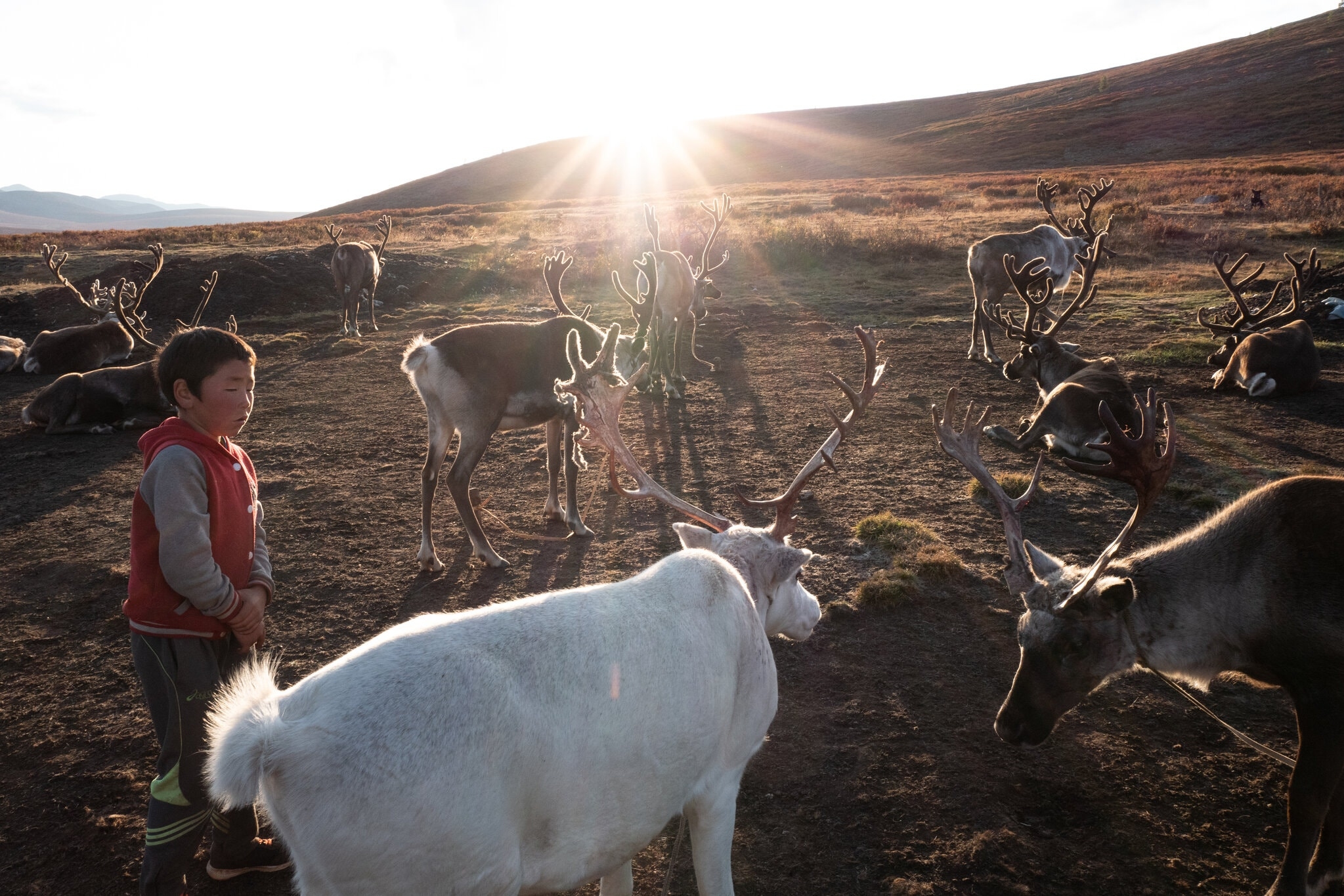 TSTtourist-theo-dau-chan-du-muc-mong-co-1