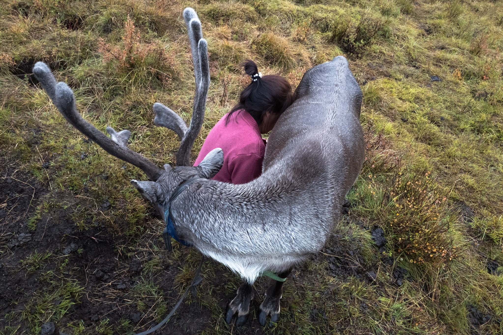 TSTtourist-theo-dau-chan-du-muc-mong-co-9