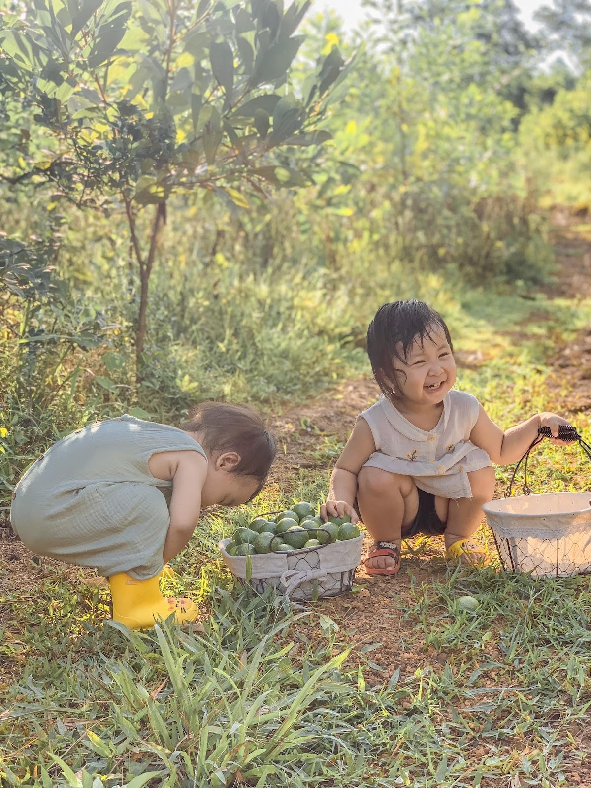 TSTtourist-vo-chong-thanh-hoa-bo-pho-ve-ngon-doi-khong-dien-luoi-lam-ngoi-nha-dep-nhu-homestay-da-lat-3