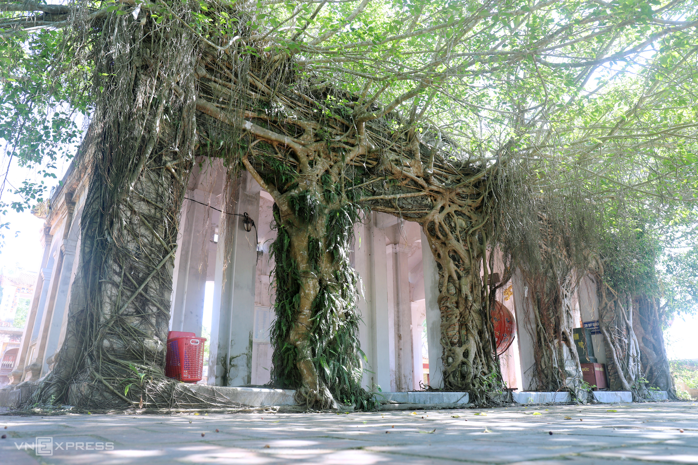 TSTtourist-ngoi-den-co-600-tuoi-o-ha-tinh-9