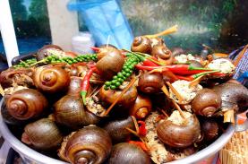 Đủ món ngon trên phố ẩm thực Hồ Thị Kỷ