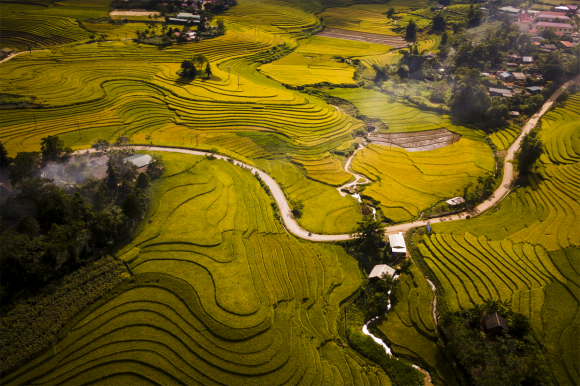 'Cánh đồng bất tận' Sàng Ma Sáo