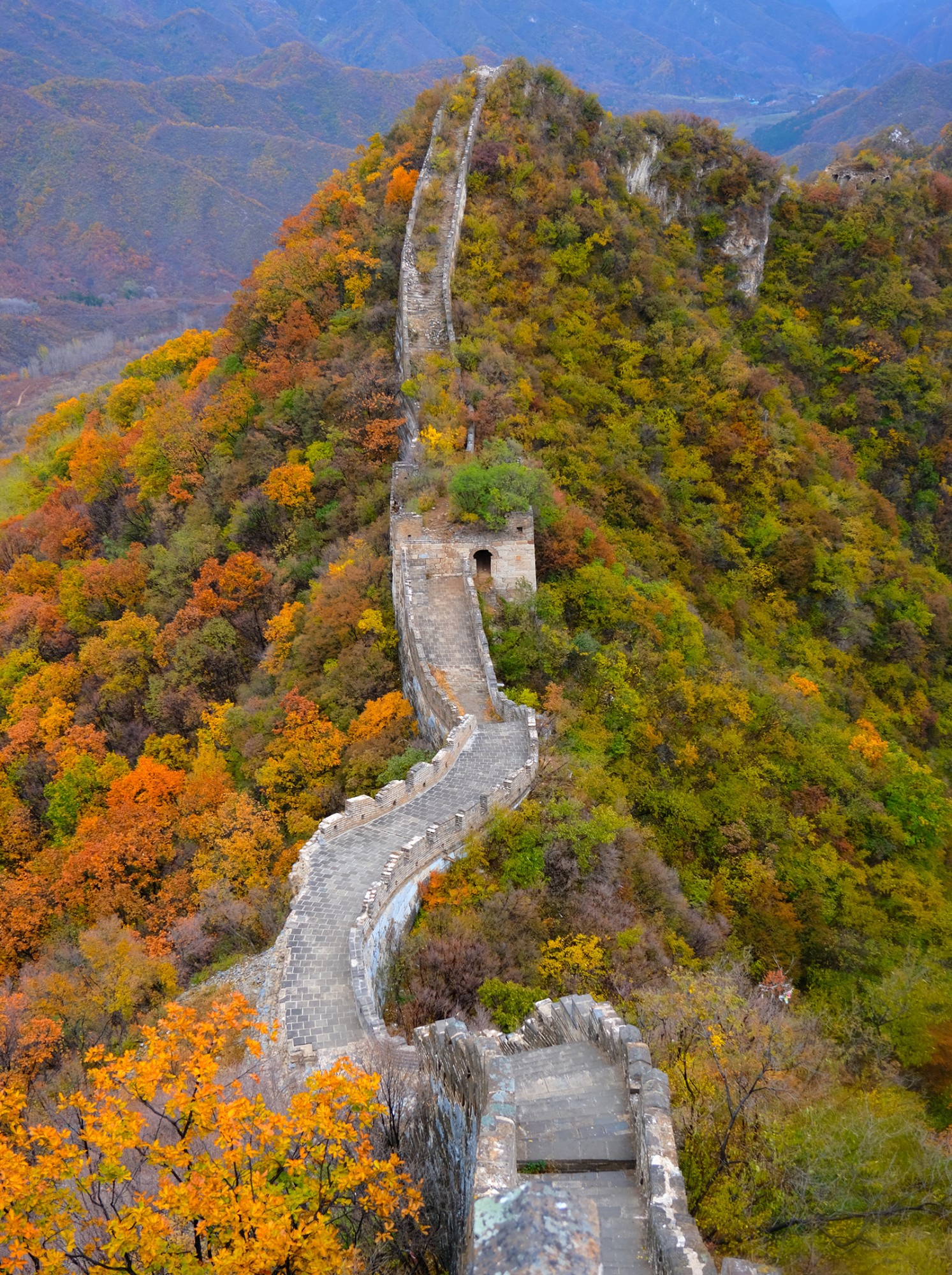 Rừng cây thay lá mùa thu “hô biến” kỳ quan thế giới thành chốn thần tiên
