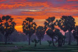 Những sắc màu cánh đồng lúa ở Tịnh Biên