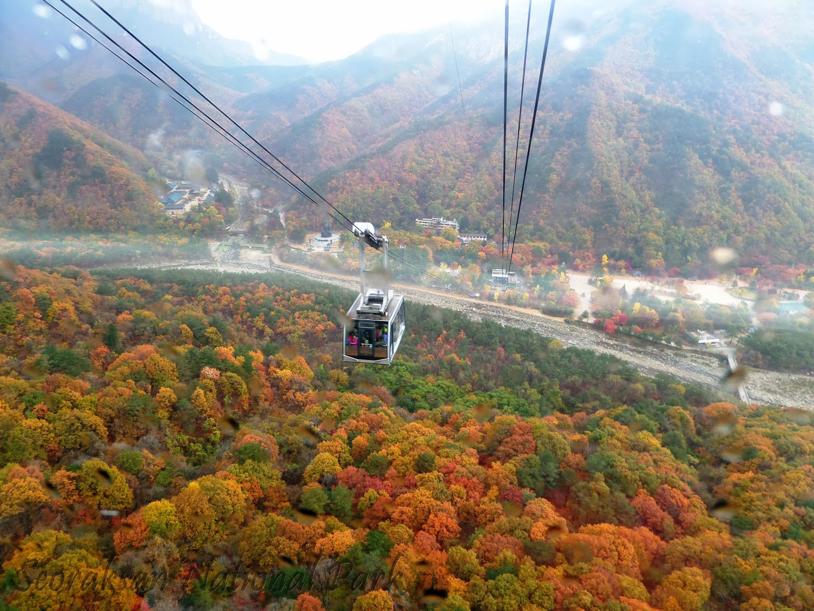 Rừng cây đỏ vàng rực rỡ từ góc nhìn trên cáp treo Seoraksan