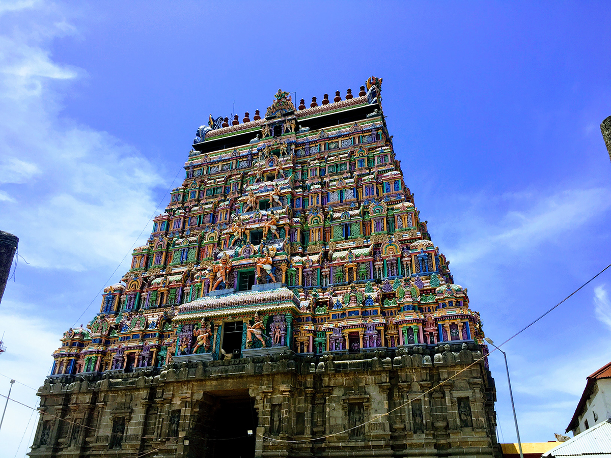 TSTtourist-7-bat-ngo-tren-hanh-trinh-kham-pha-an-do-4