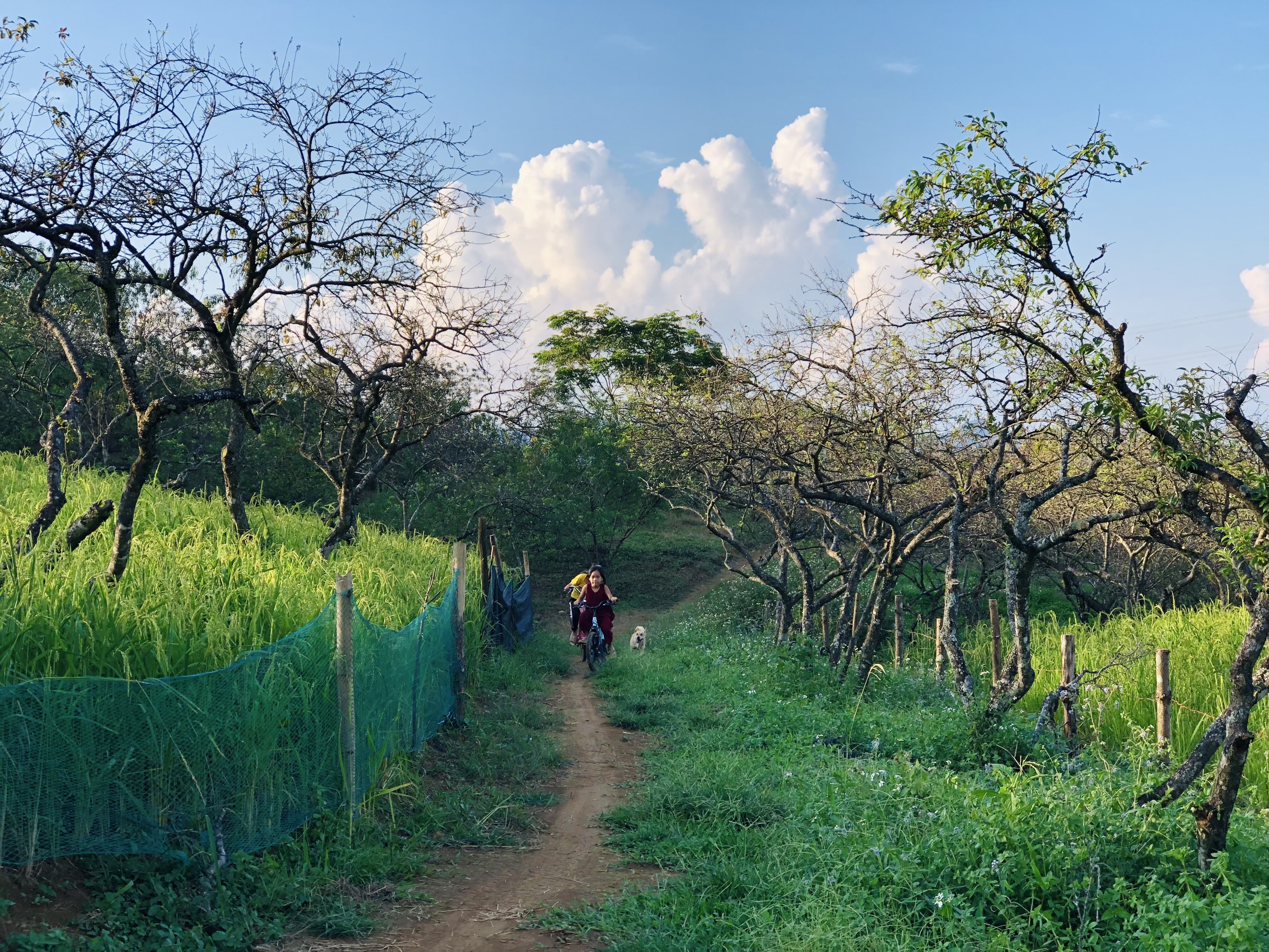 TSTtourist-xay-nha-song-giua-vuon-man-vi-mac-ket-o-moc-chau-2