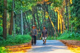 'Đà Lạt thu nhỏ' của Hải Phòng