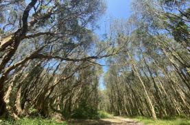 Hồ Tràm - nơi thư giãn cuối tuần gần TP HCM