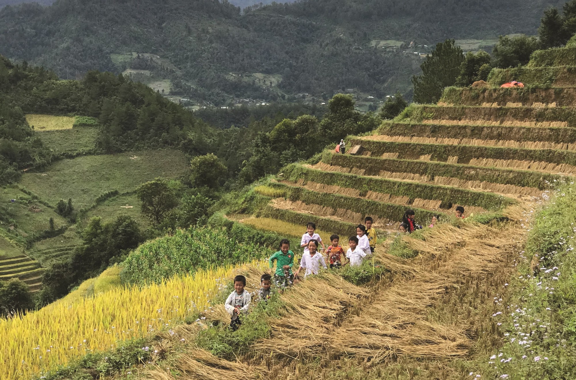 Đừng bỏ lỡ việc ghi lại những khoảnh khắc bình dị của bà con nơi đây