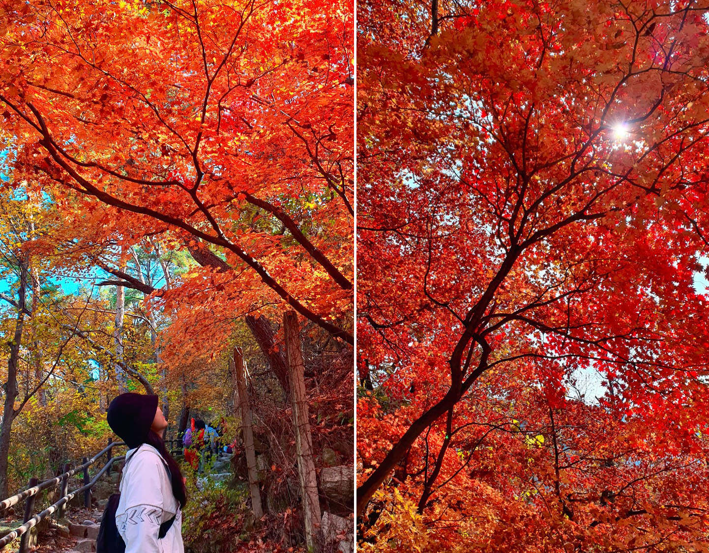 TSTtourist-co-gai-viet-say-dam-thu-han-quoc-9_1