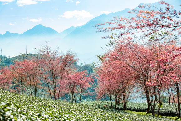 Những địa điểm check-in Sa Pa cực 'chill' vào mùa đông