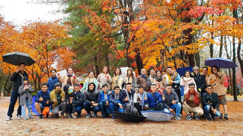 45623327_429565354241238_5555197815468064768_n