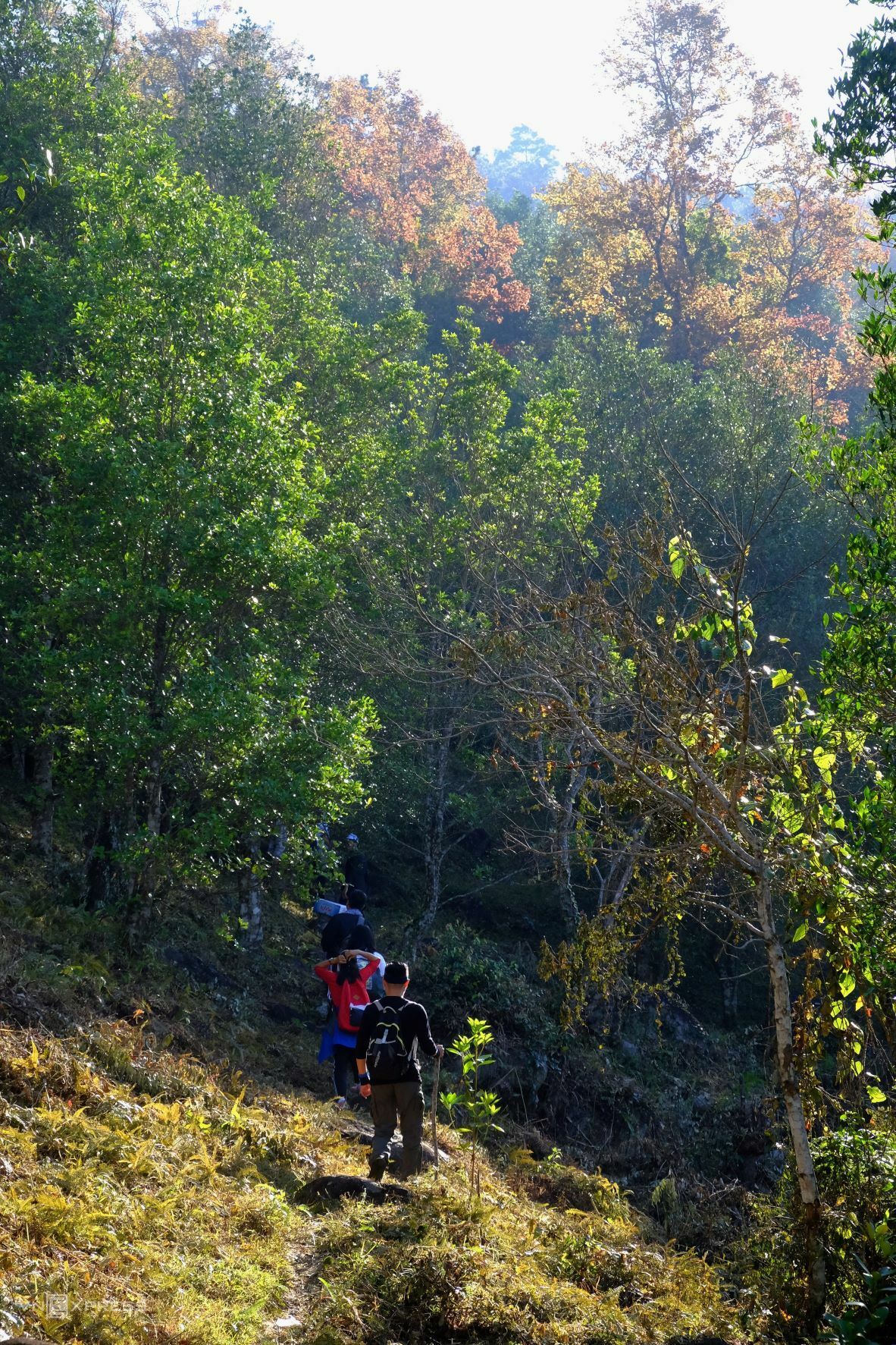 TSTtourist-mot-ngay-chinh-phuc-noc-nha-quang-ninh-1