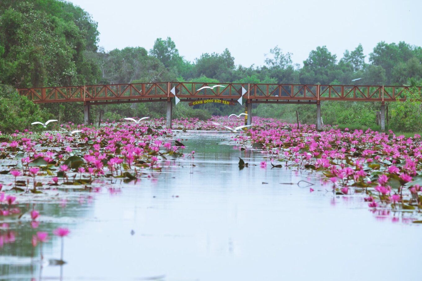 TSTtourist-thu-gian-o-canh-dong-bat-tan-1